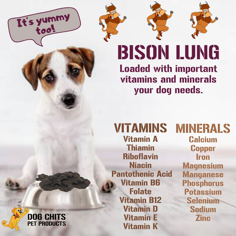 Bison Lung Fillet Treats for Dogs - 10 oz