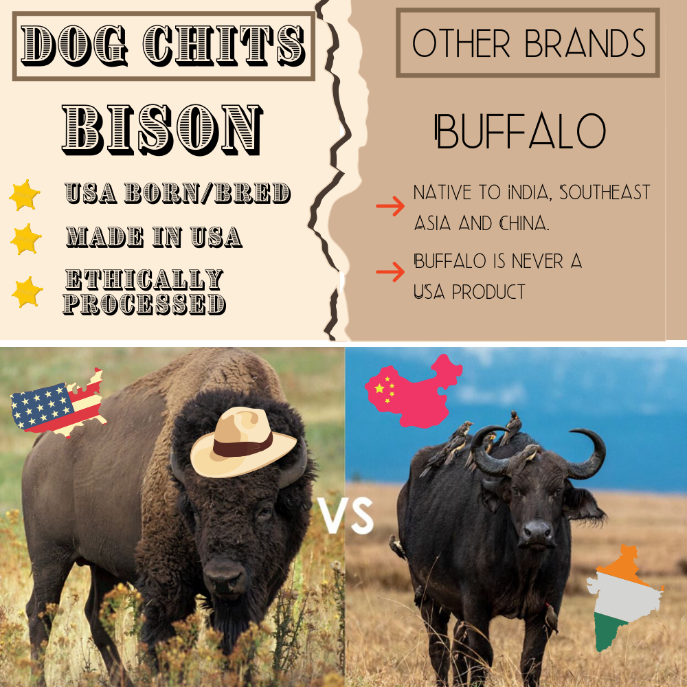 Bison Lung Fillet Treats for Dogs - 10 oz
