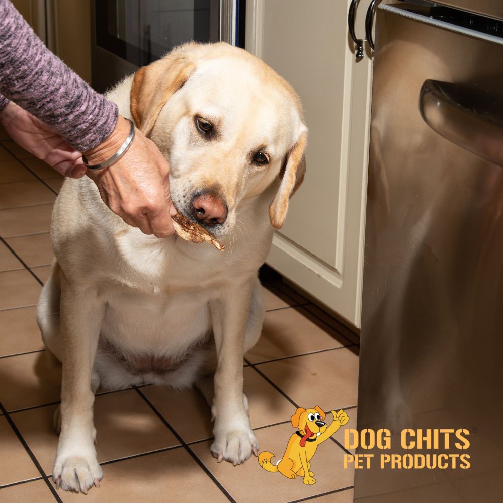 Lamb Lung Fillet Treats for Dogs - 10 oz