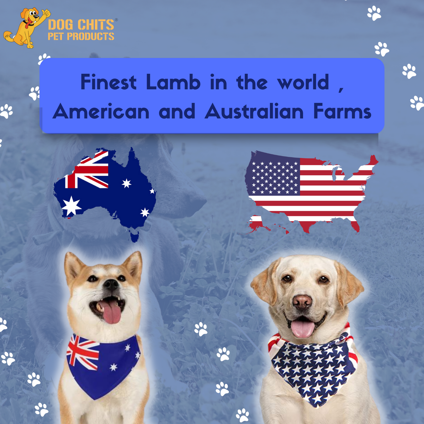 Lamb Lung Fillet Treats for Dogs - 10 oz