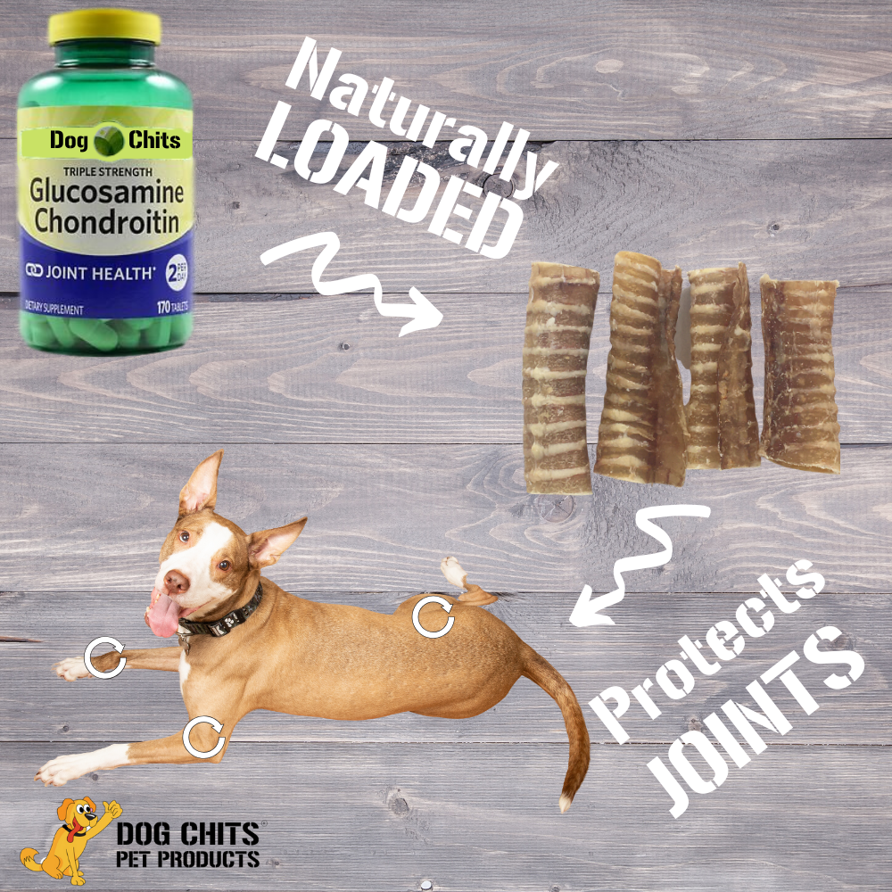 Beef Trachea Dog Treats - 12 Inch, 4 Pack