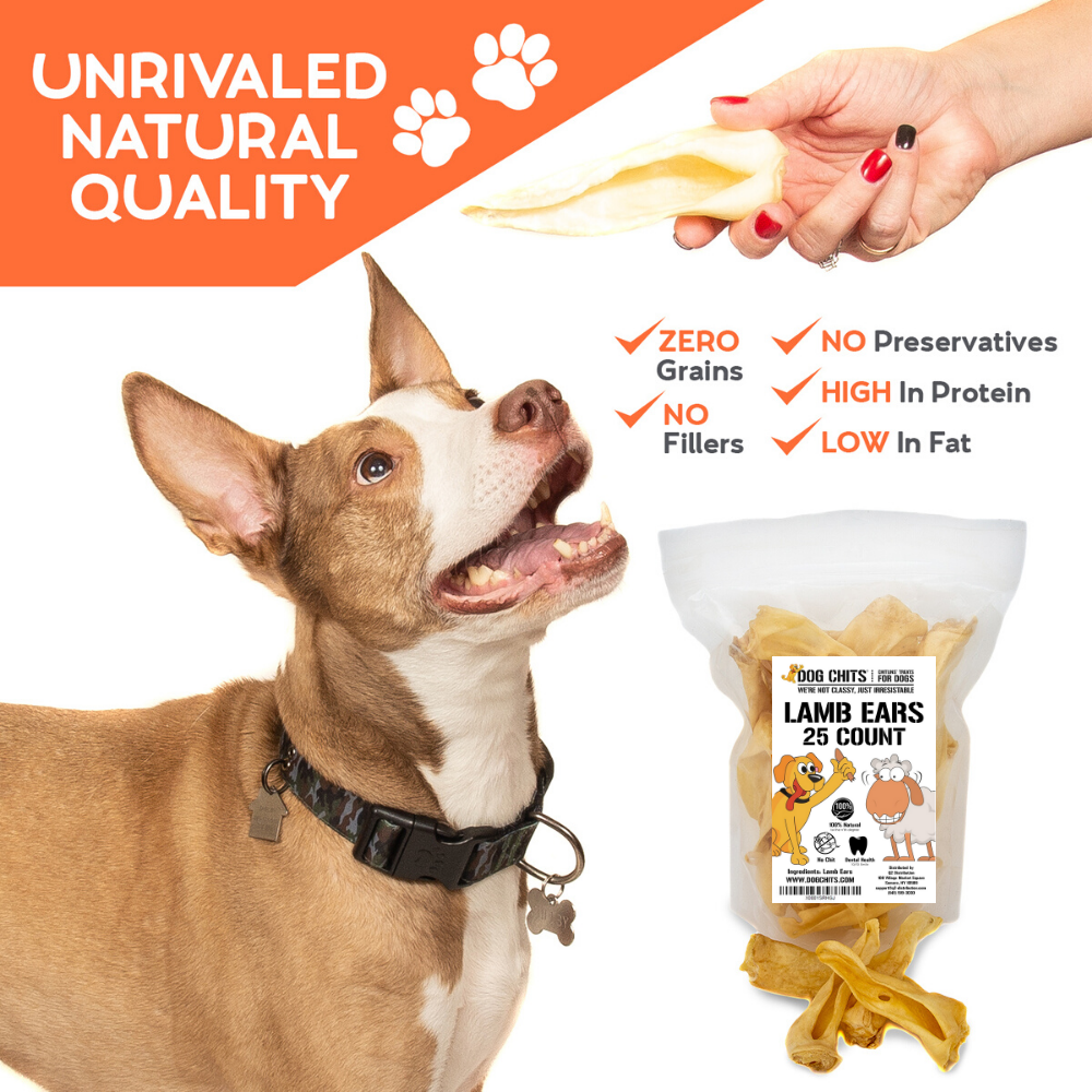 Lamb Ears for Dogs, Large - 25 Pack