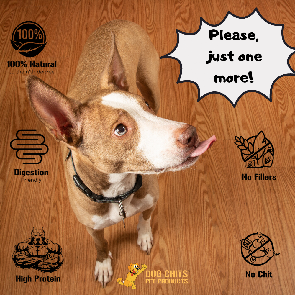 Lamb Ears for Dogs, Large - 25 Pack
