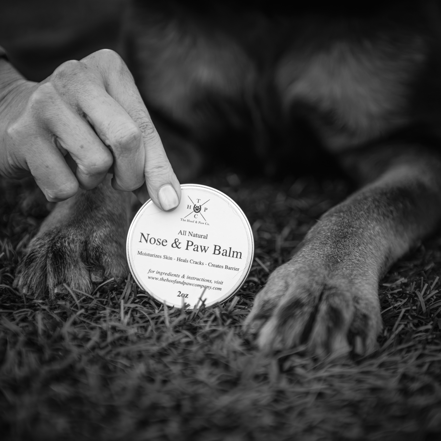 The Hoof & Paw Co. - All Natural Nose & Paw Balm - for Dogs - 2oz