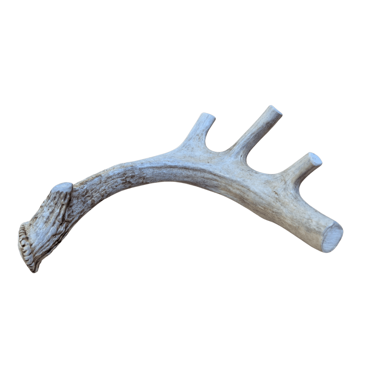 Farm To Pet - Deer Antler Dog Chews | Organic Antler Chews