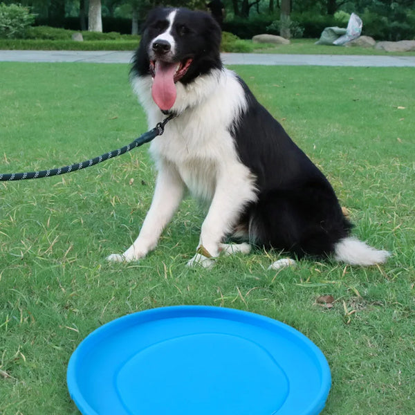 Dog Frisbee – Interactive Rubber Dog Toy for Outdoor Fun 15