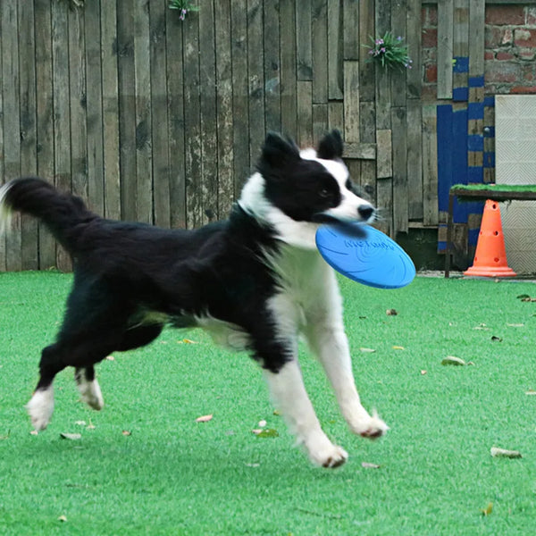Dog Frisbee – Interactive Rubber Dog Toy for Outdoor Fun 17