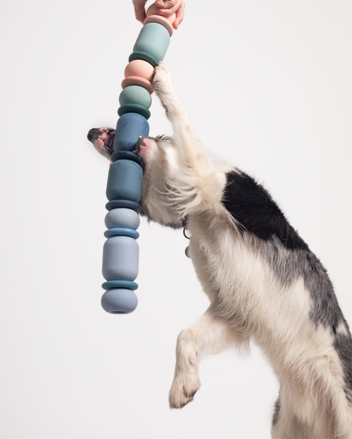 Fable - Armadillo™ Dog Toy