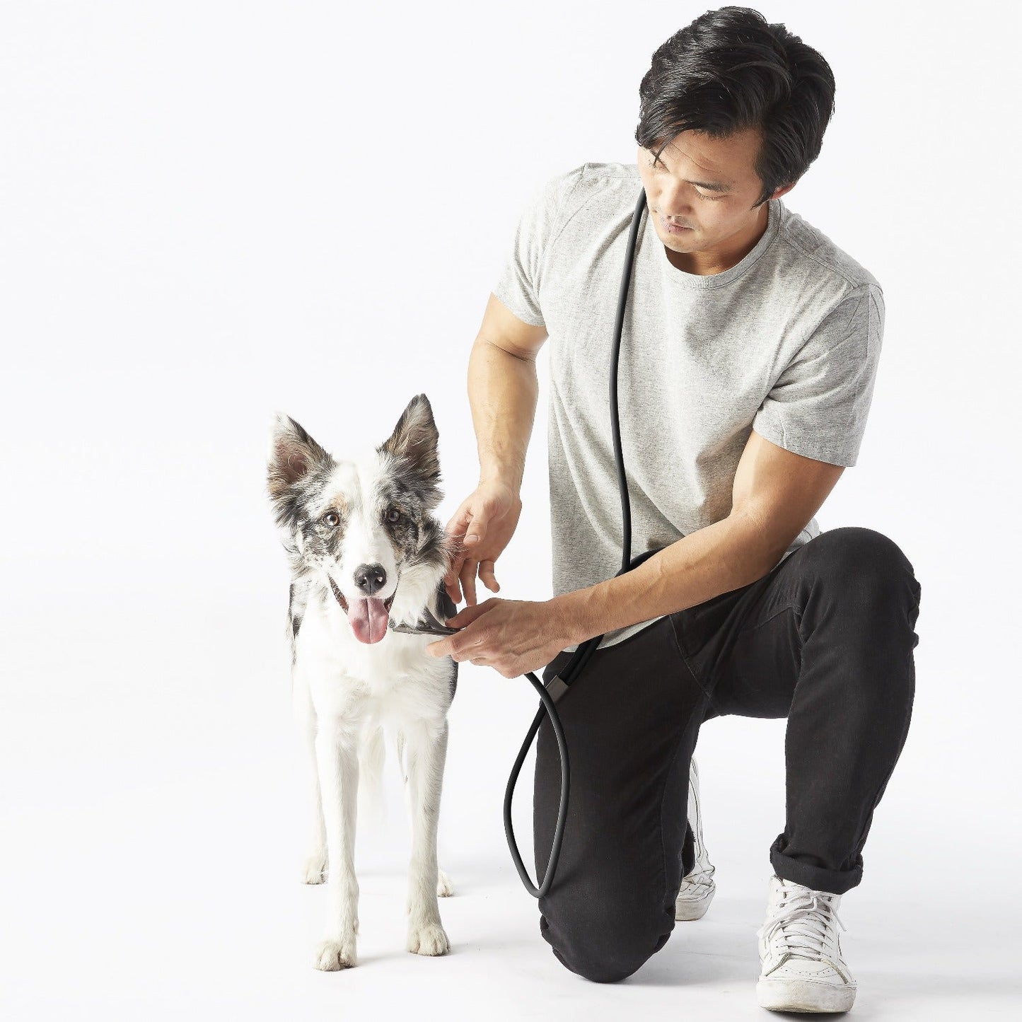 Fable - Magic Dog Leash ®