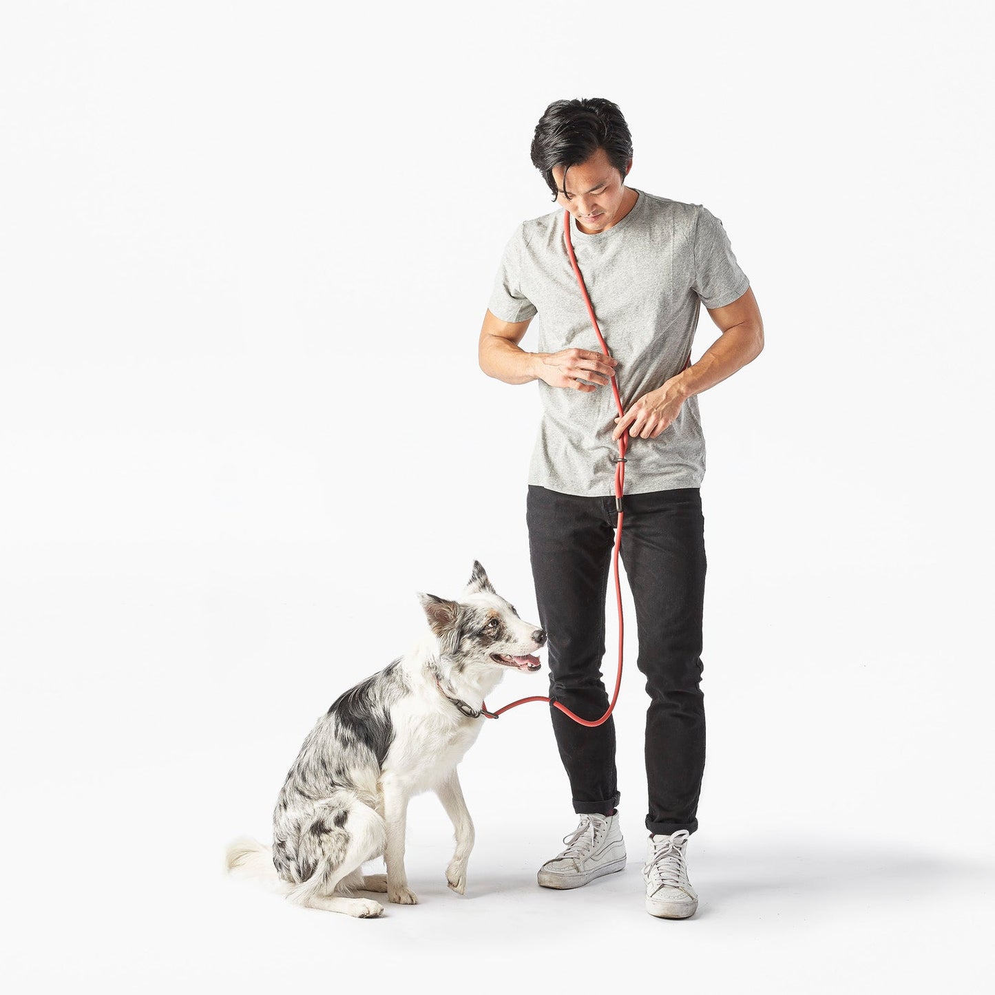 Fable - Magic Link® Dog leash