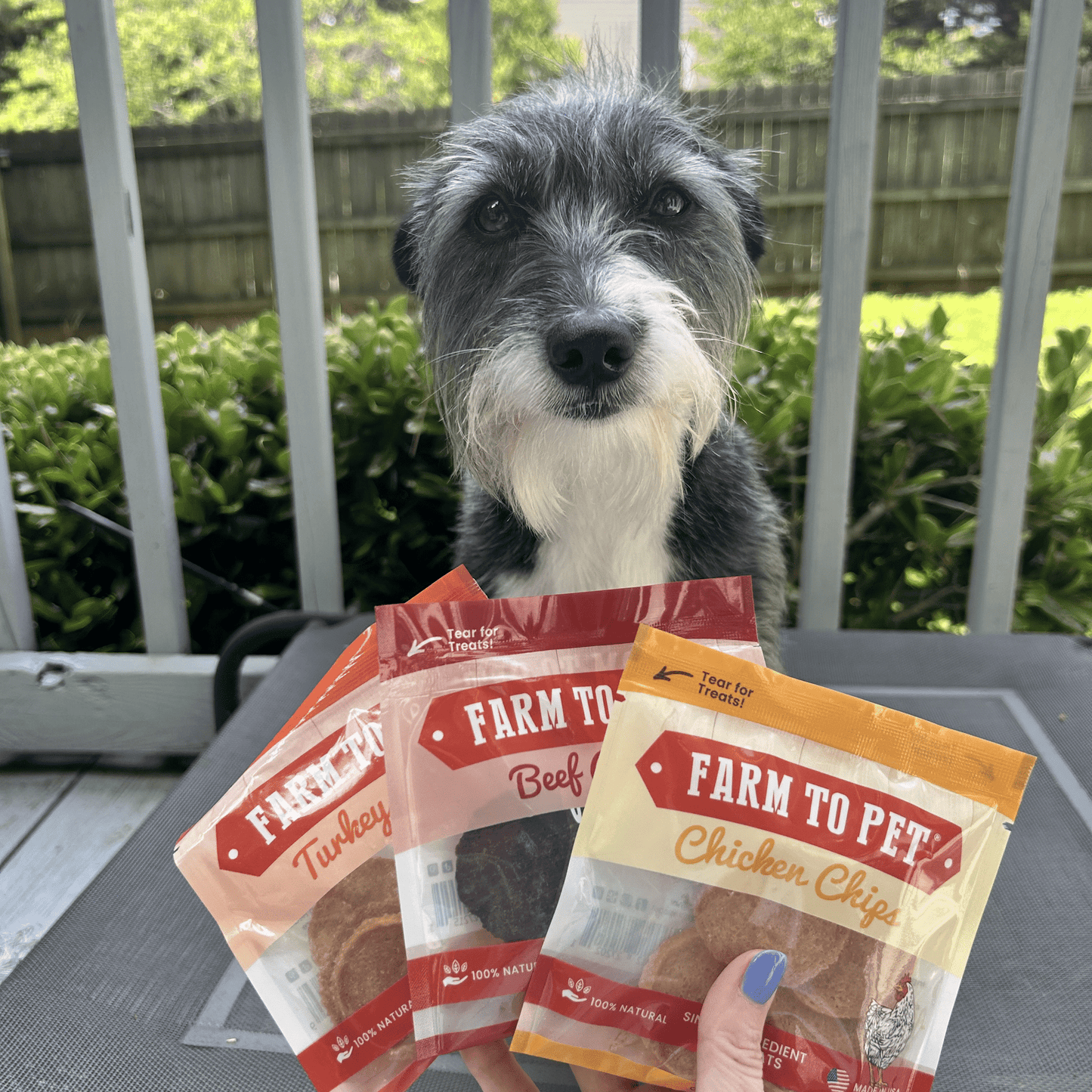 Farm To Pet - Chicken, Turkey, & Beef Snack Pack Trio