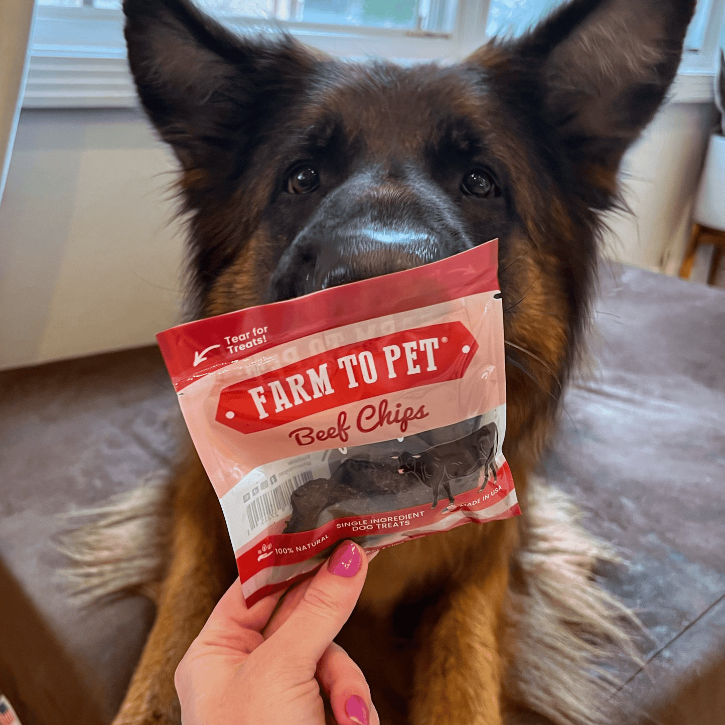 Farm To Pet - Puppy Packs 'n Snacks Dog Treat Starter Pack | Single-Ingredient Training Treats