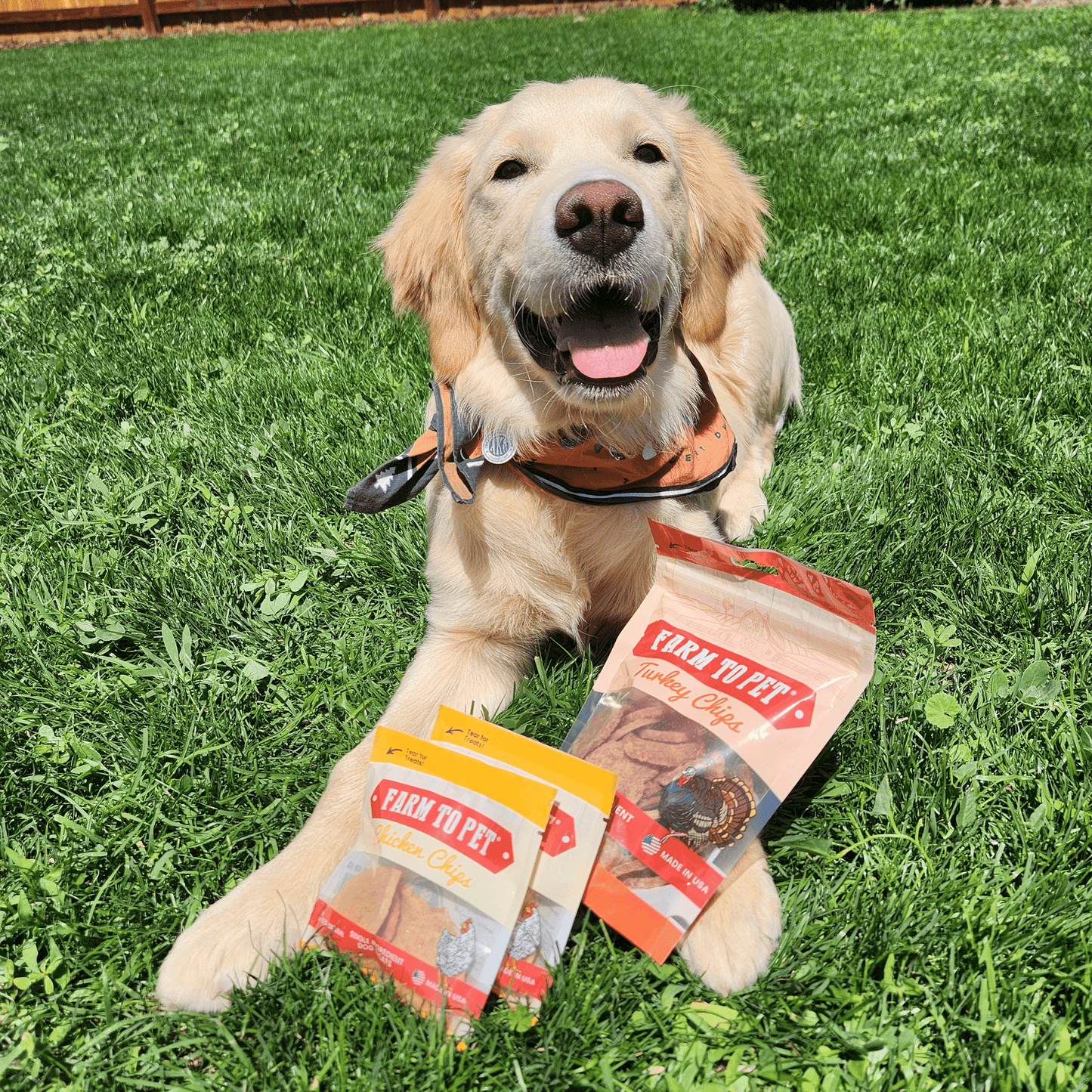 Farm To Pet - Puppy Packs 'n Snacks Dog Treat Starter Pack | Single-Ingredient Training Treats