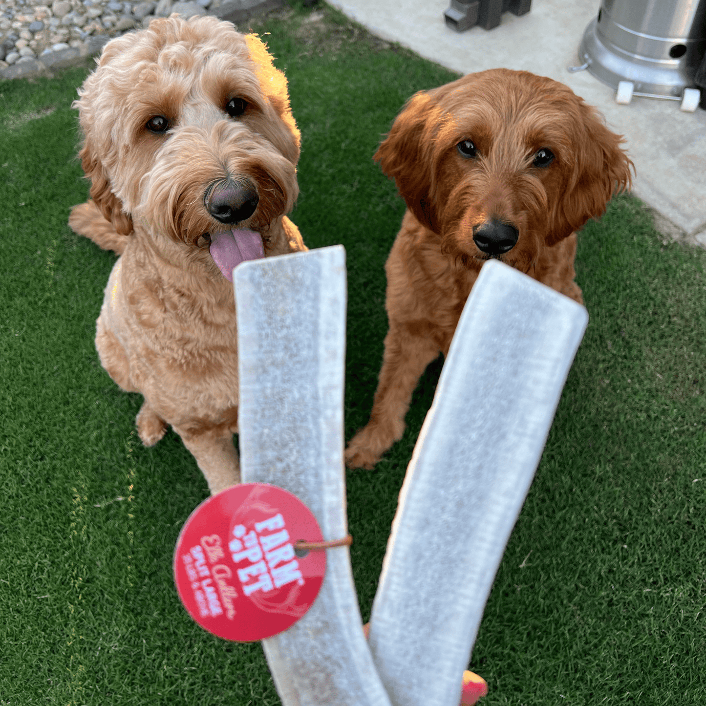 Farm To Pet - Split Elk Antlers for Dogs | All-Natural Antler Dog Chews