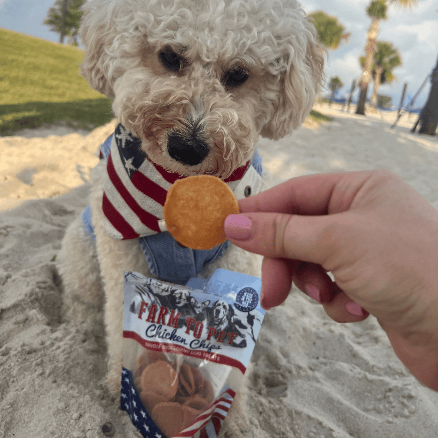 Farm To Pet - Americana Chicken Chips for Dogs | Celebrate with USA-made Dog Treats