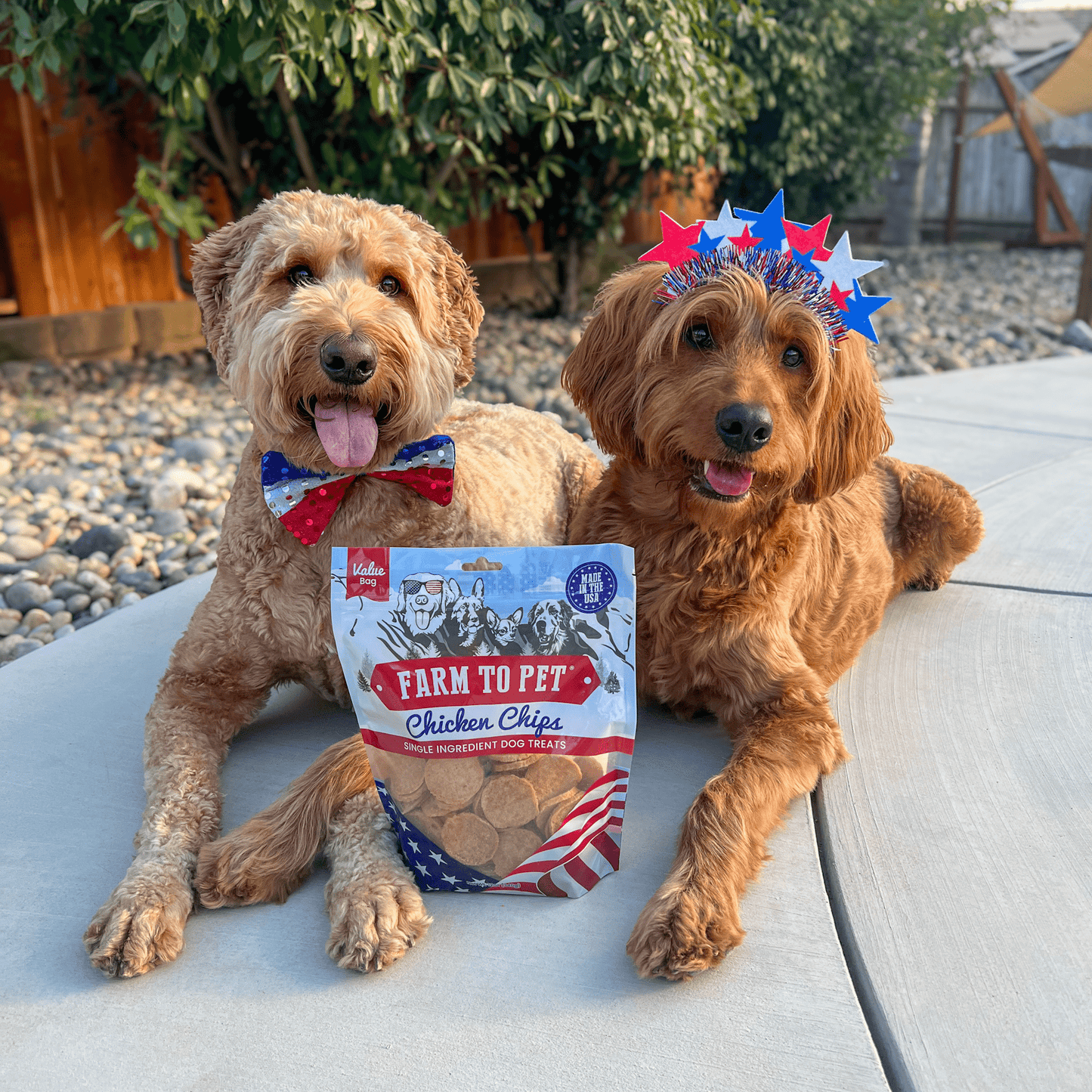 Farm To Pet - Americana Chicken Chips for Dogs | Celebrate with USA-made Dog Treats