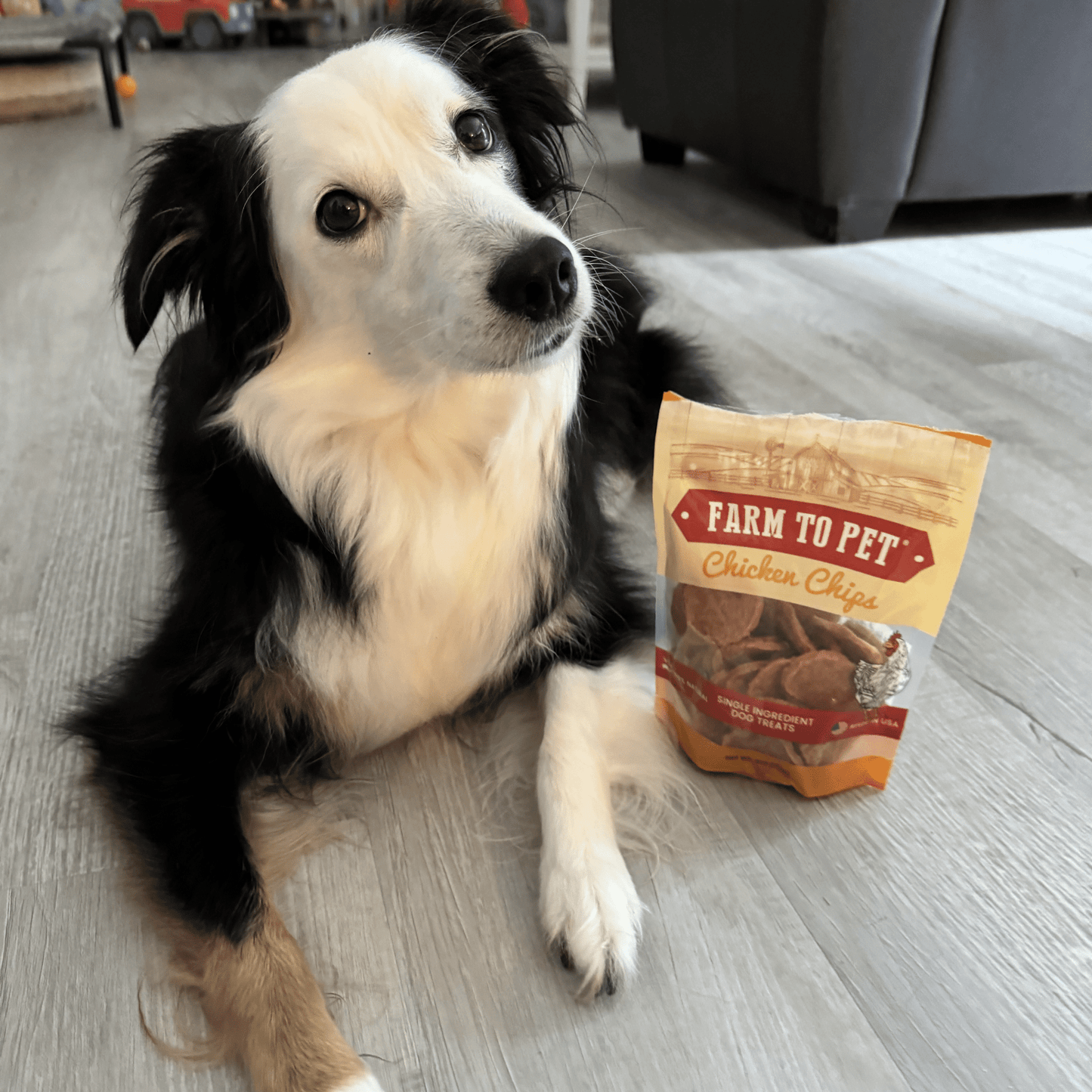 Farm To Pet - Chicken Chips for Dogs | All-Natural Single-Ingredient Dog Treats