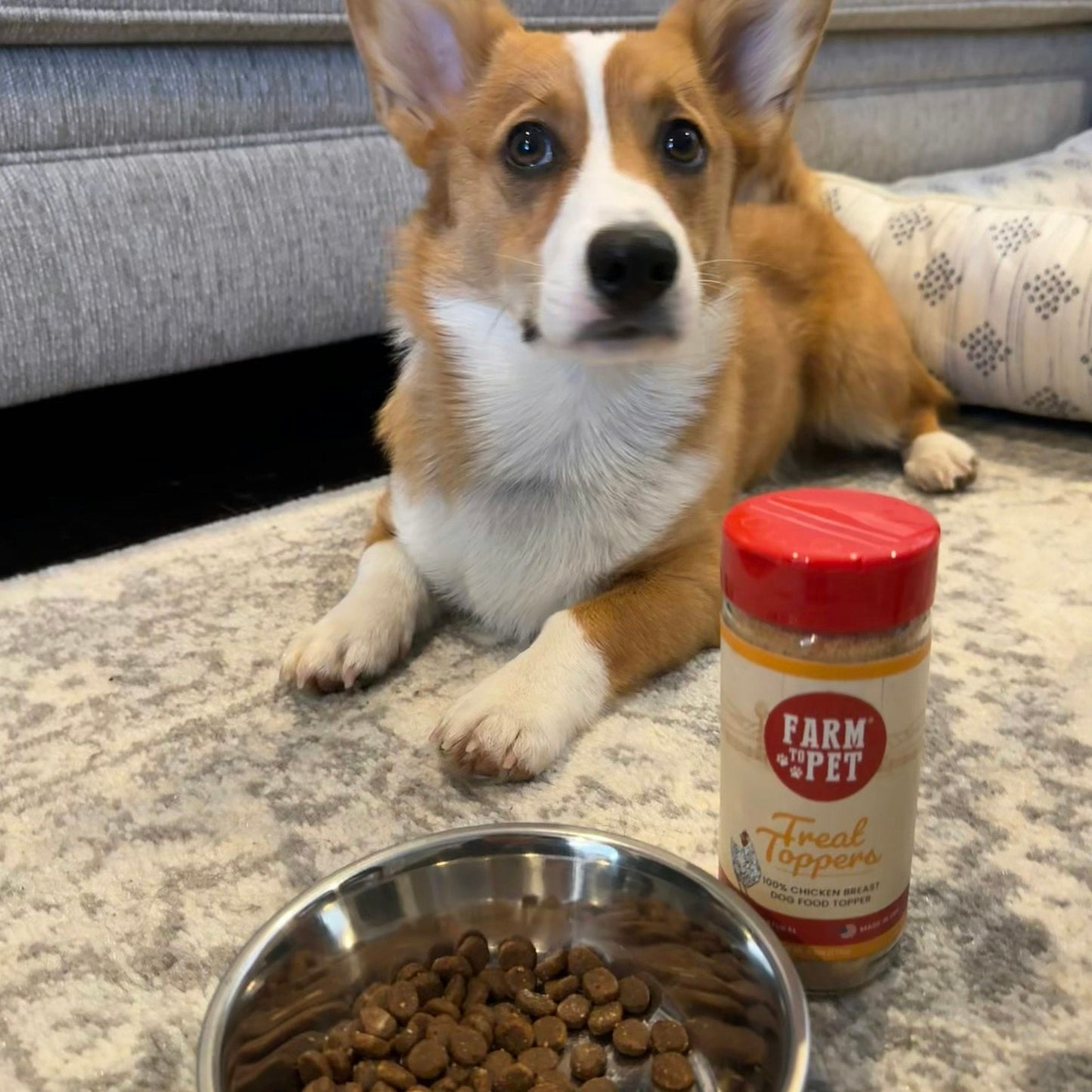 Farm To Pet - Treat Topper Chicken Dog Food Topper | Healthy Meal Supplement for Dogs