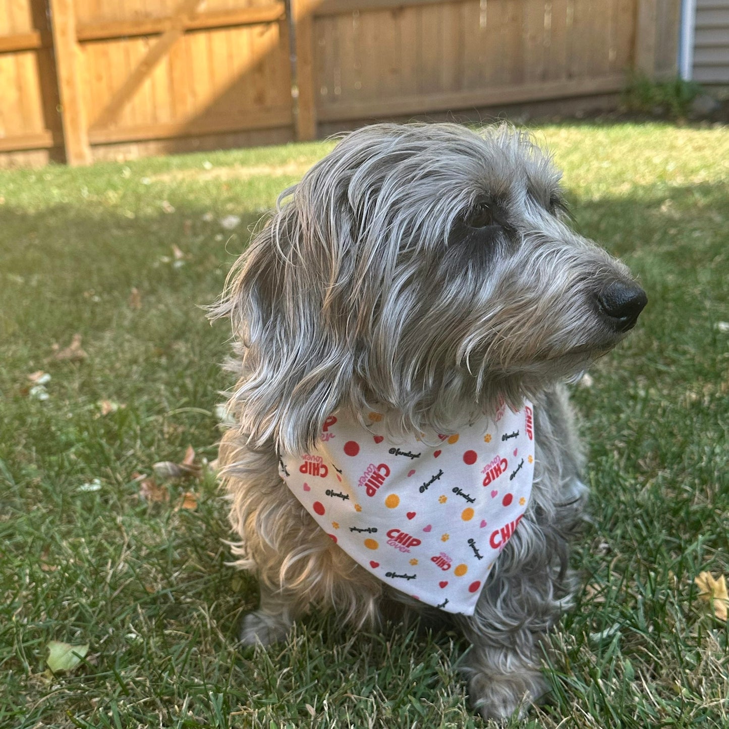 Farm To Pet - Tie-on Dog Bandana | Adjustable String-tie Bandana for Dogs and Cats