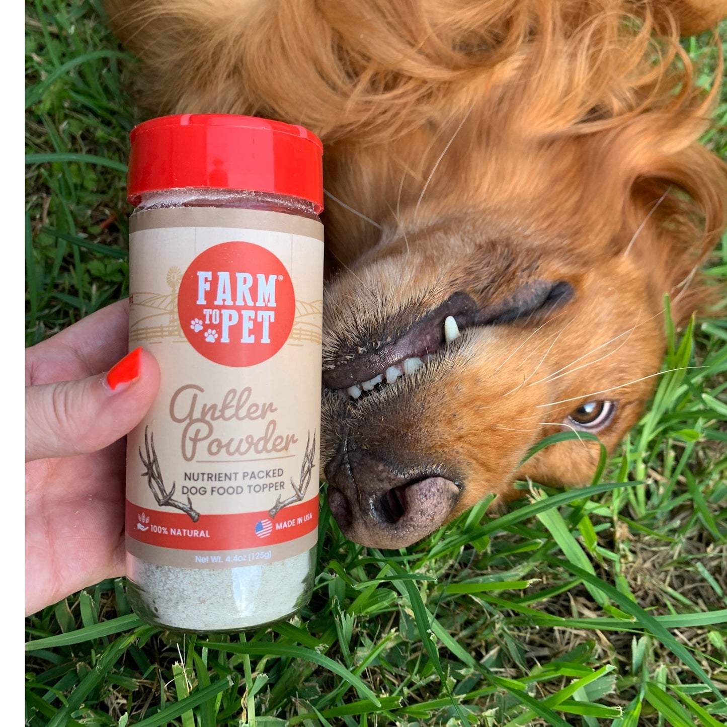 Farm To Pet - Treat Topper Antler Powder Dog Food Topper | Nutritional Supplement for Dogs and Cats