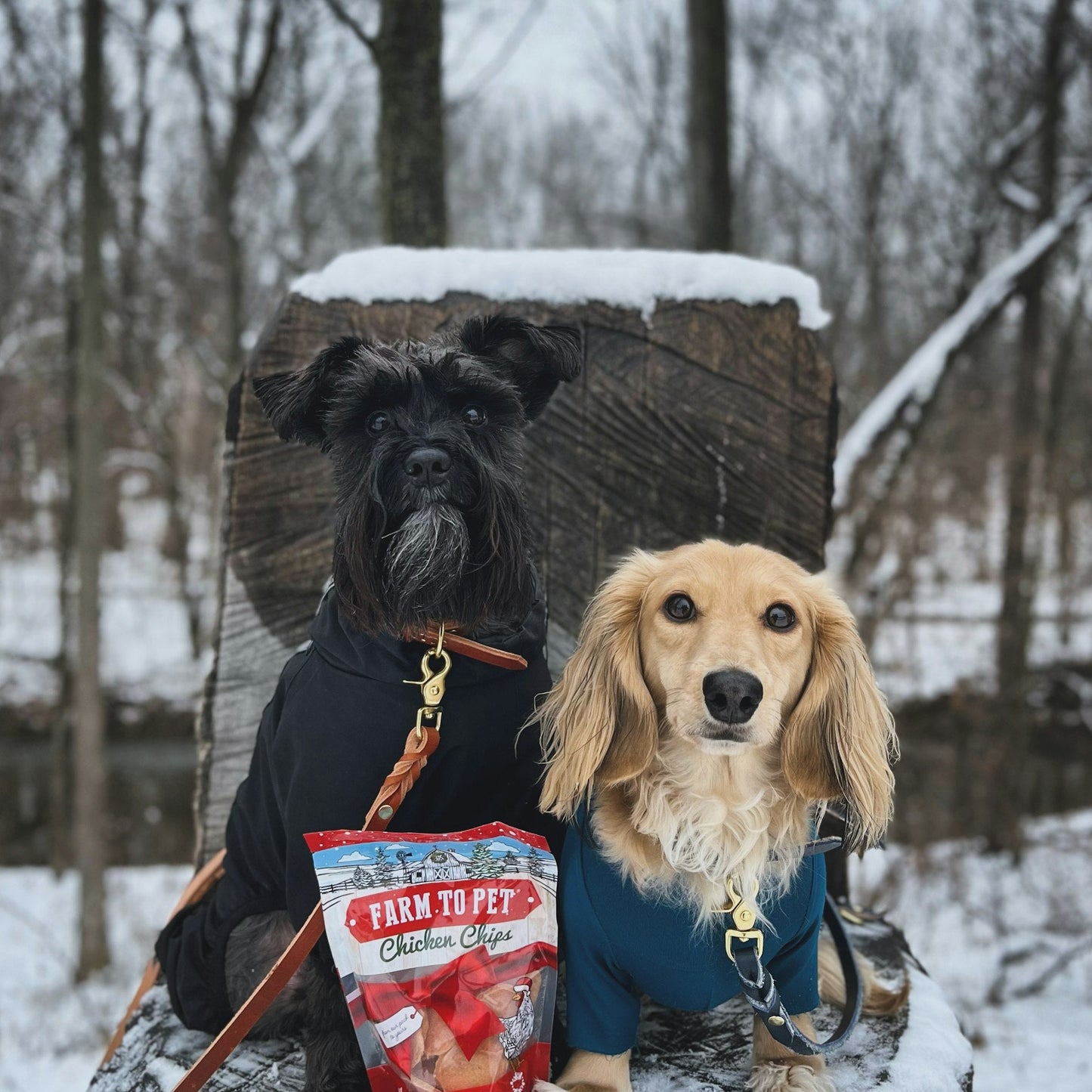 Farm To Pet - Holiday Chips for Dogs