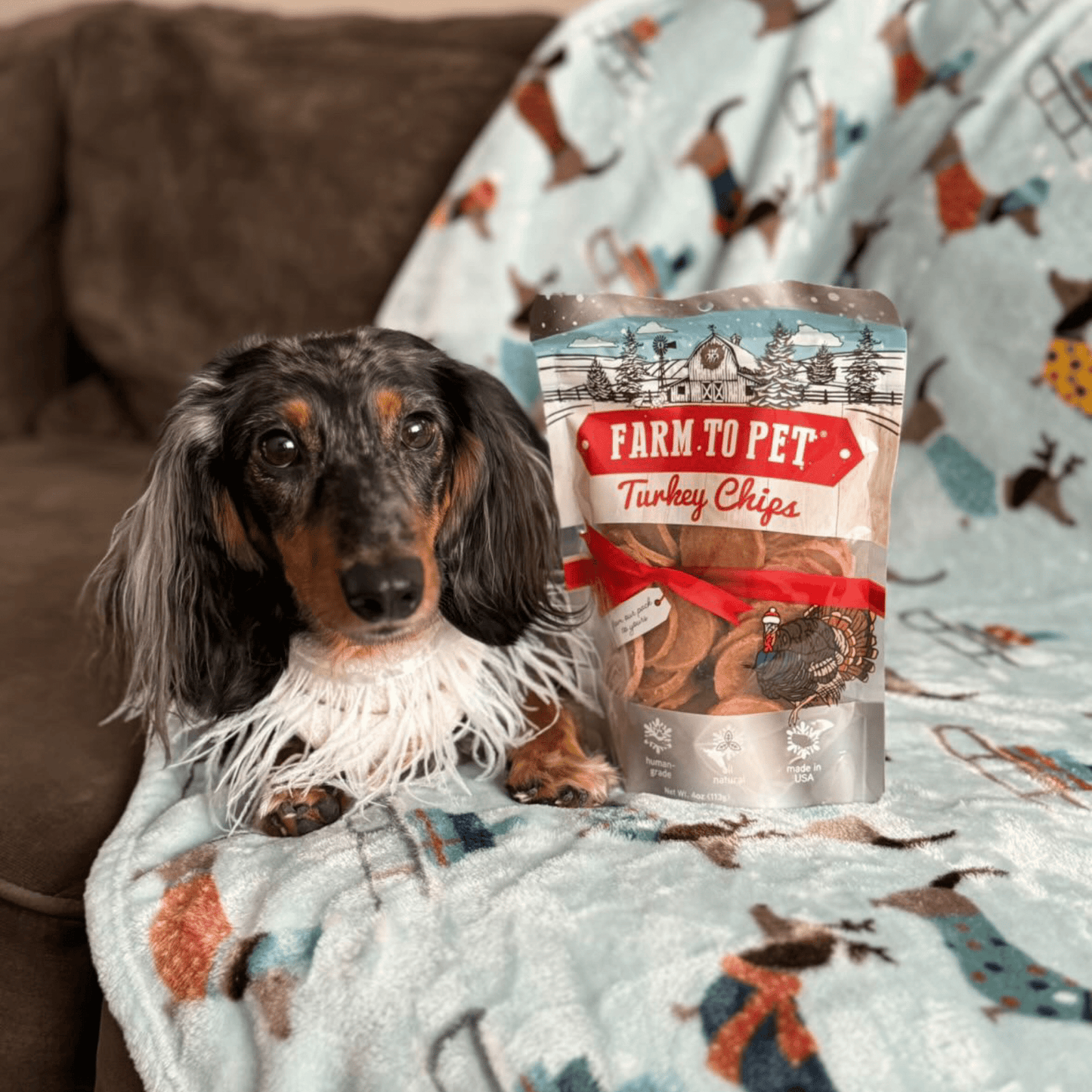 Farm To Pet - Holiday Chips for Dogs