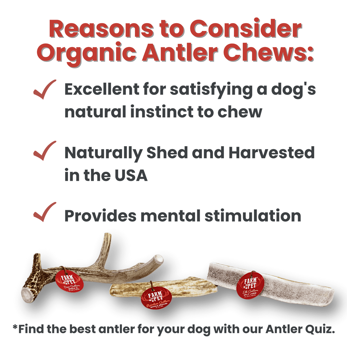 Farm To Pet - Reindeer Antlers for Dogs | Antler Dog Chews for Aggressive Chewers