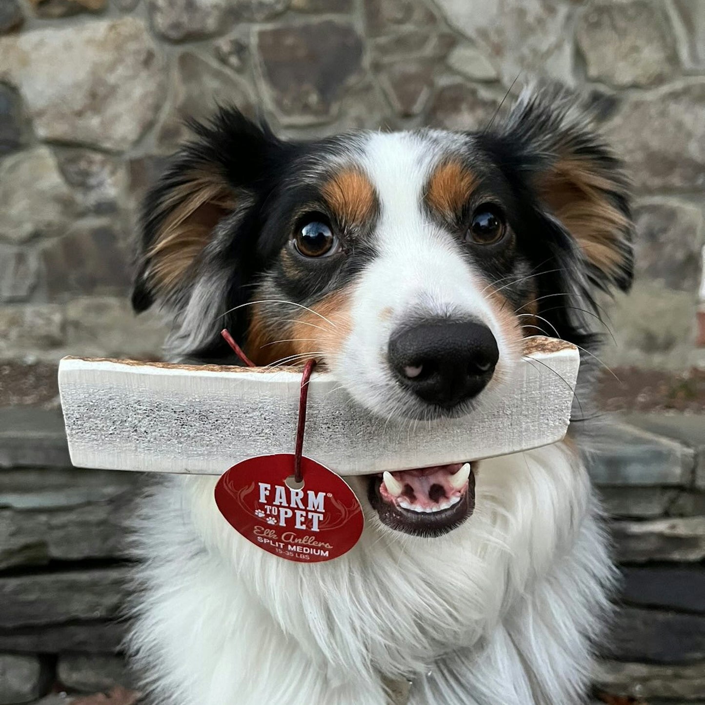Farm To Pet - Split Elk Antlers for Dogs | All-Natural Antler Dog Chews