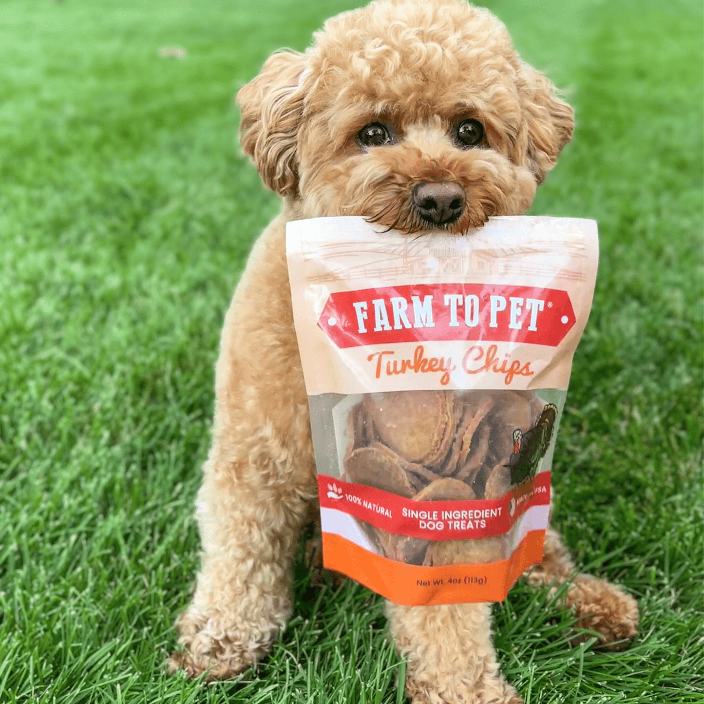 Farm To Pet - Turkey Chips for Dogs | All-Natural Single-Ingredient Healthy Dog Treats