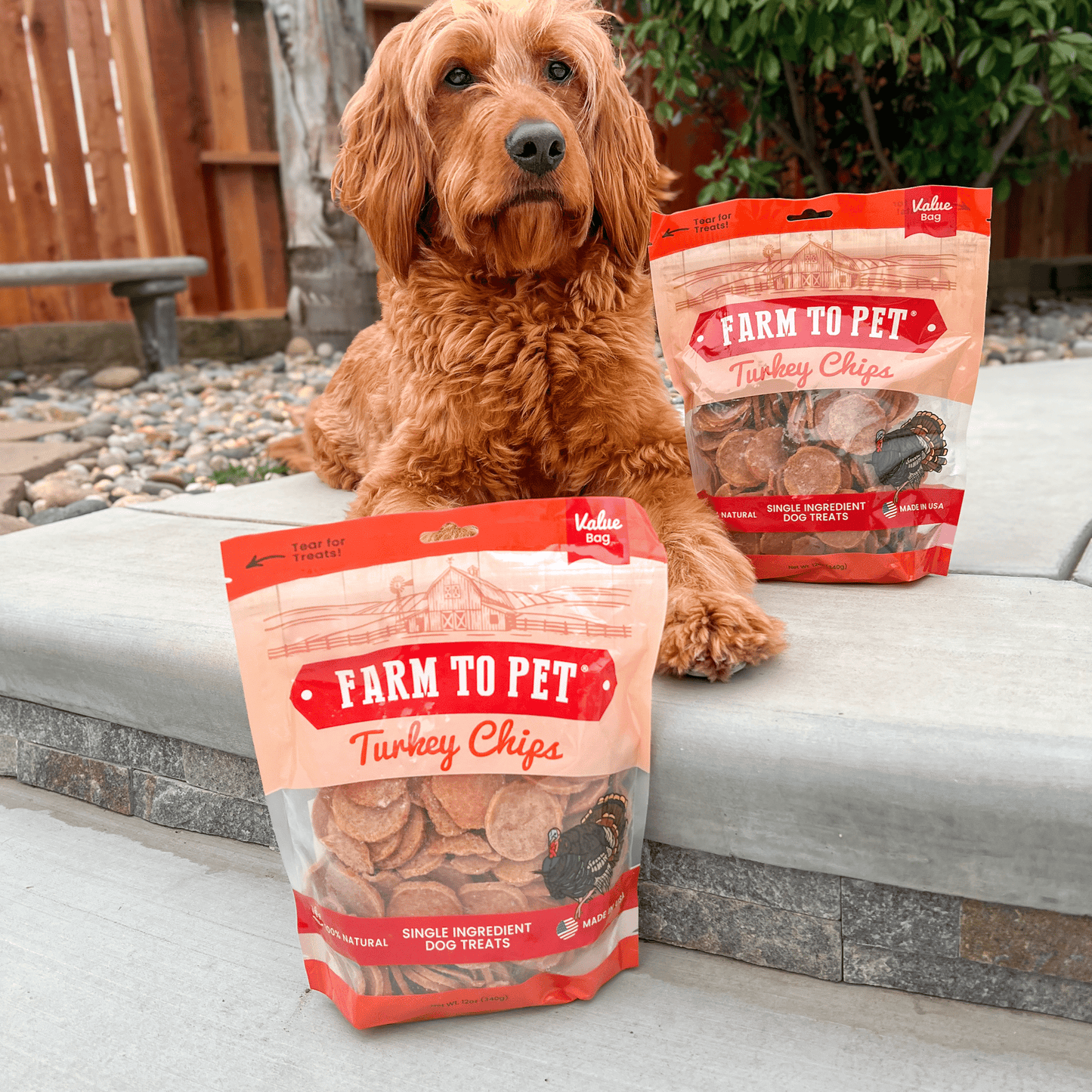 Farm To Pet - Turkey Chips for Dogs | All-Natural Single-Ingredient Healthy Dog Treats