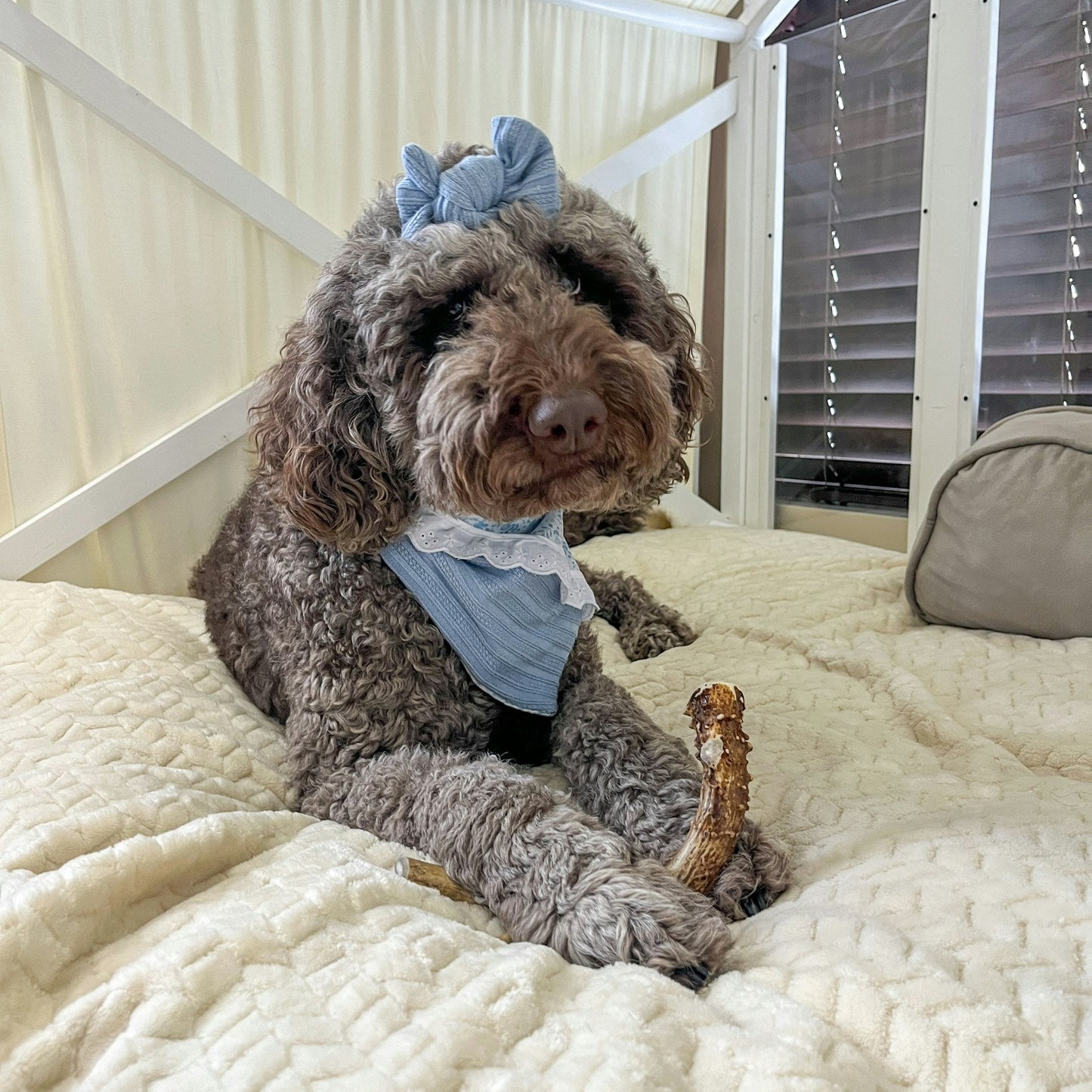 Farm To Pet - Deer Antler Dog Chews | Organic Antler Chews