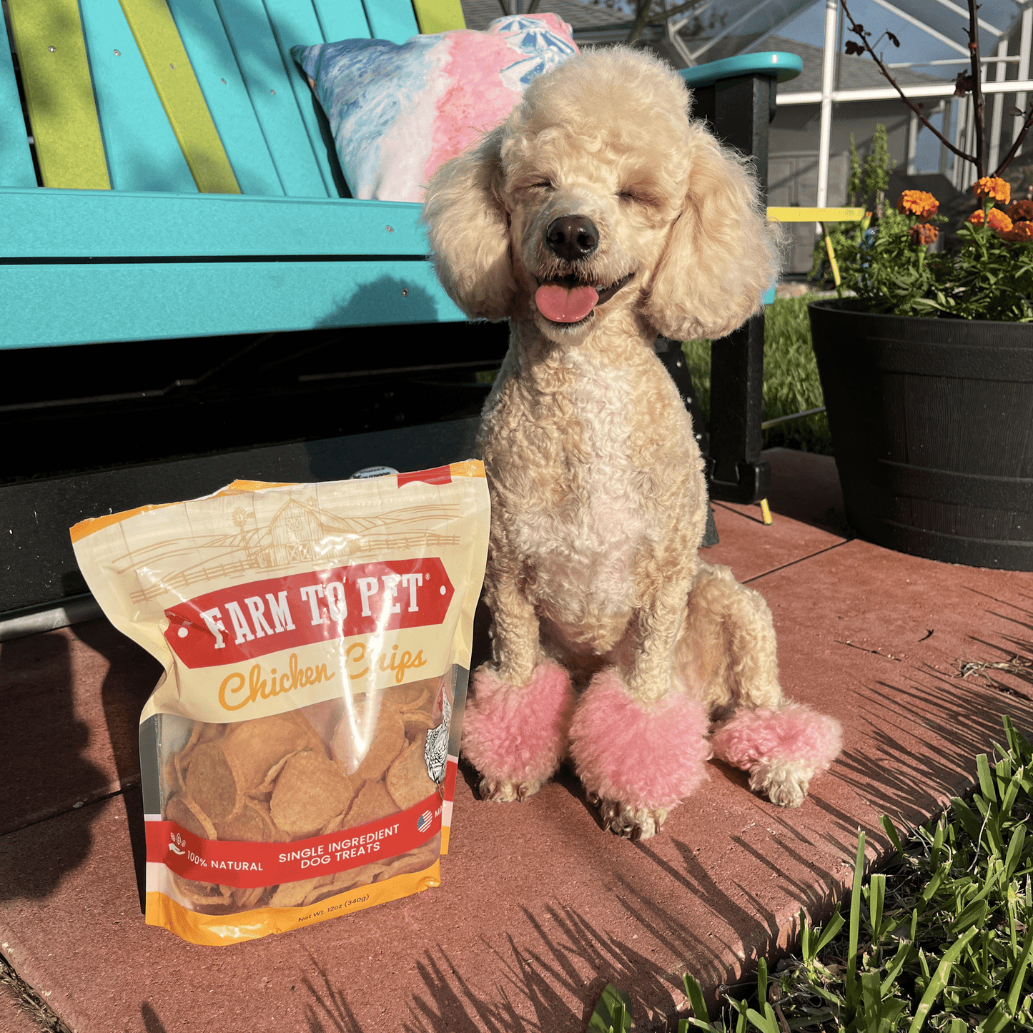 Farm To Pet - Chicken Chips for Dogs | All-Natural Single-Ingredient Dog Treats