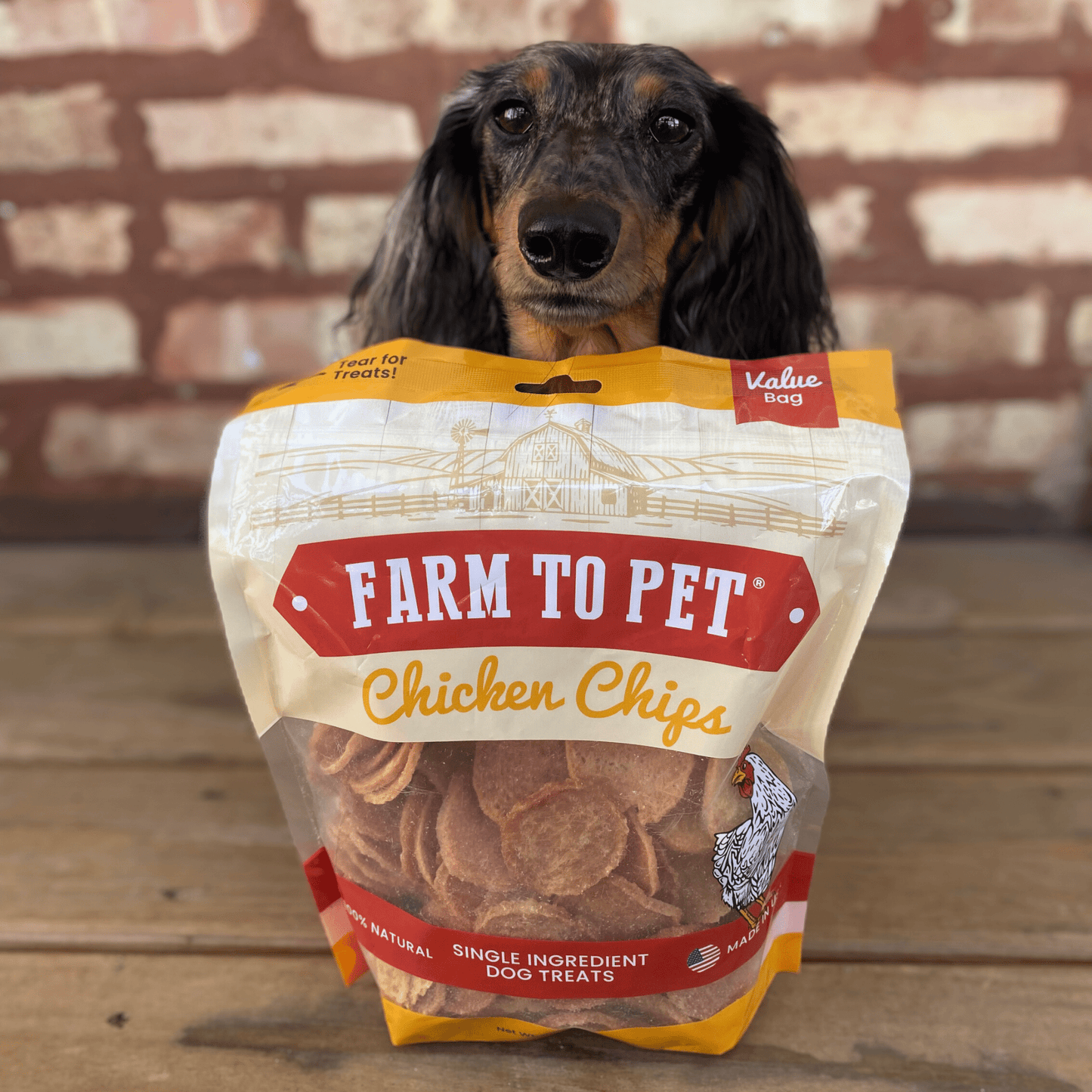 Farm To Pet - Chicken Chips for Dogs | All-Natural Single-Ingredient Dog Treats