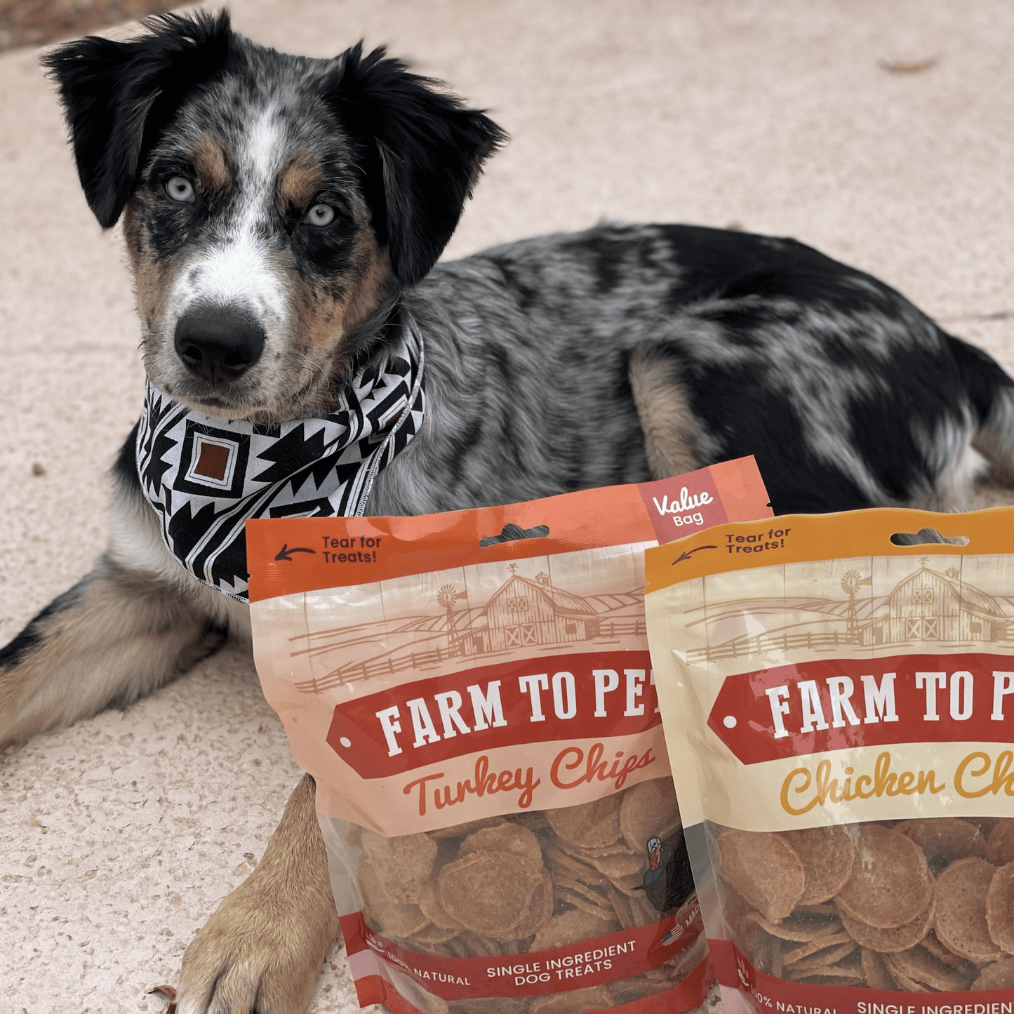 Farm To Pet - Turkey & Chicken Chip Dog Treat Duo | Single-Ingredient Poultry Treats for Dogs