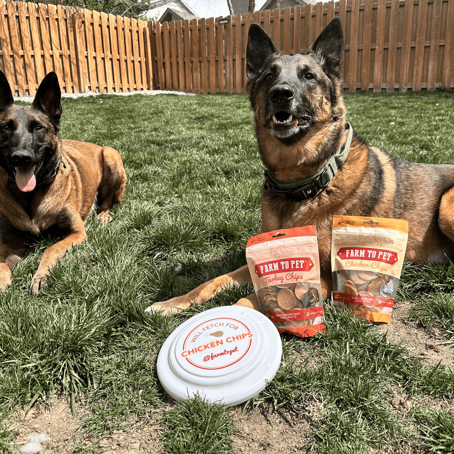 Farm To Pet - Turkey & Chicken Chip Dog Treat Duo | Single-Ingredient Poultry Treats for Dogs