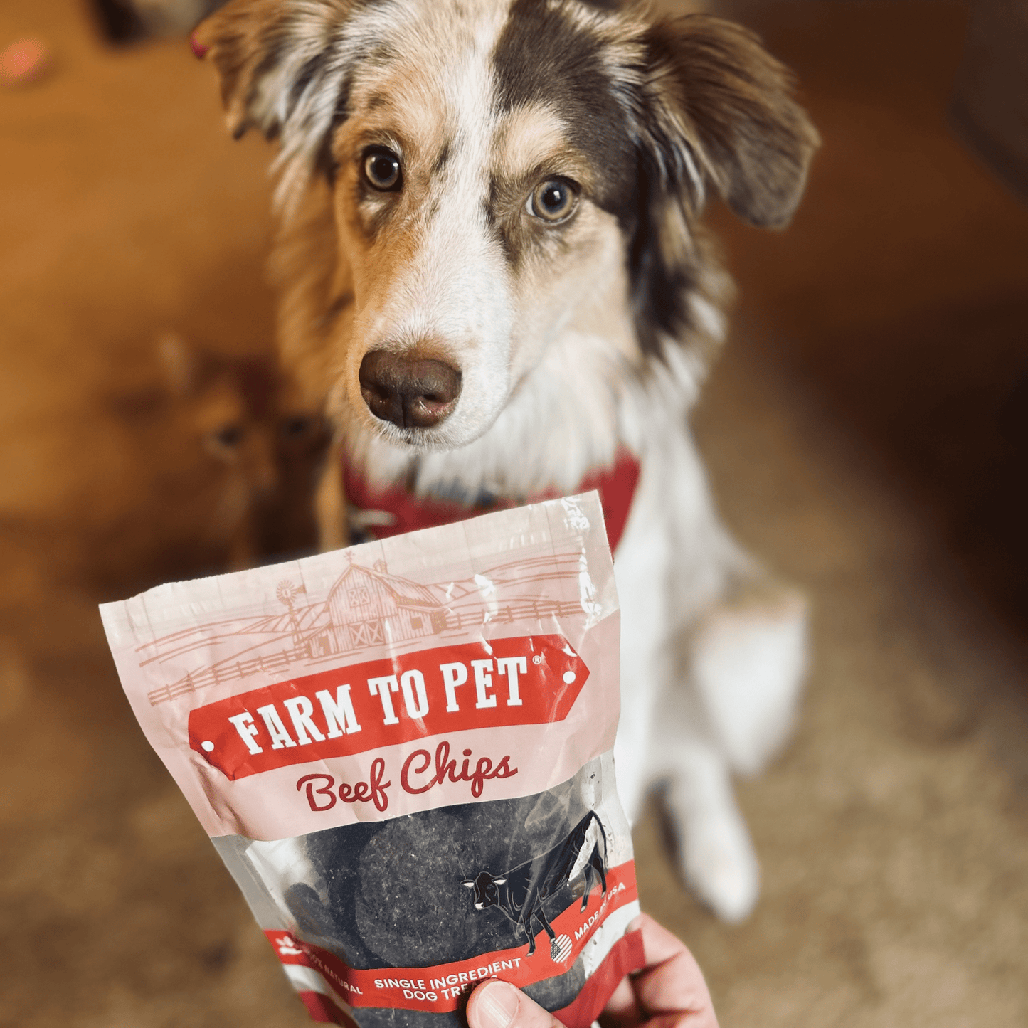 Farm To Pet - Puppy Packs 'n Snacks Dog Treat Starter Pack | Single-Ingredient Training Treats