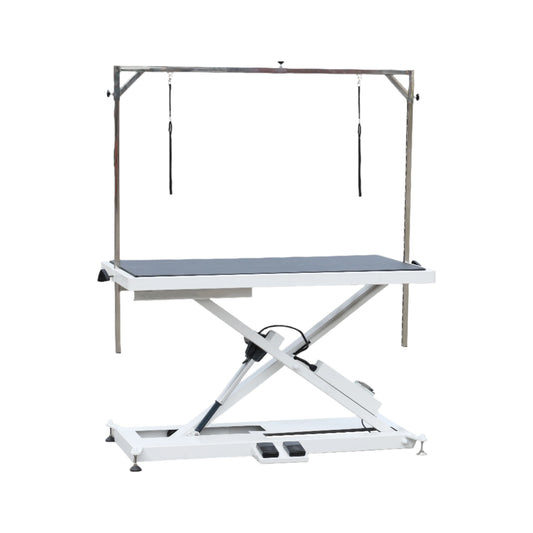 Electric Lifting Dog Grooming Table  double arm