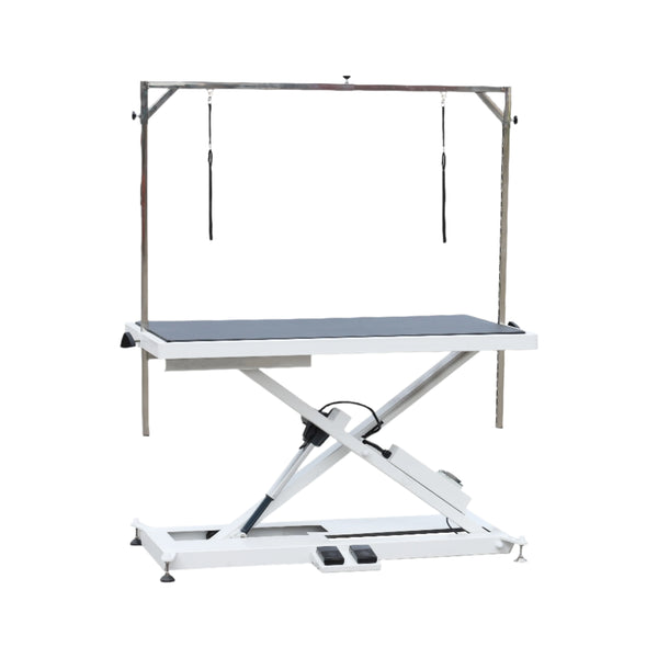 Electric Lifting Dog Grooming Table  double arm