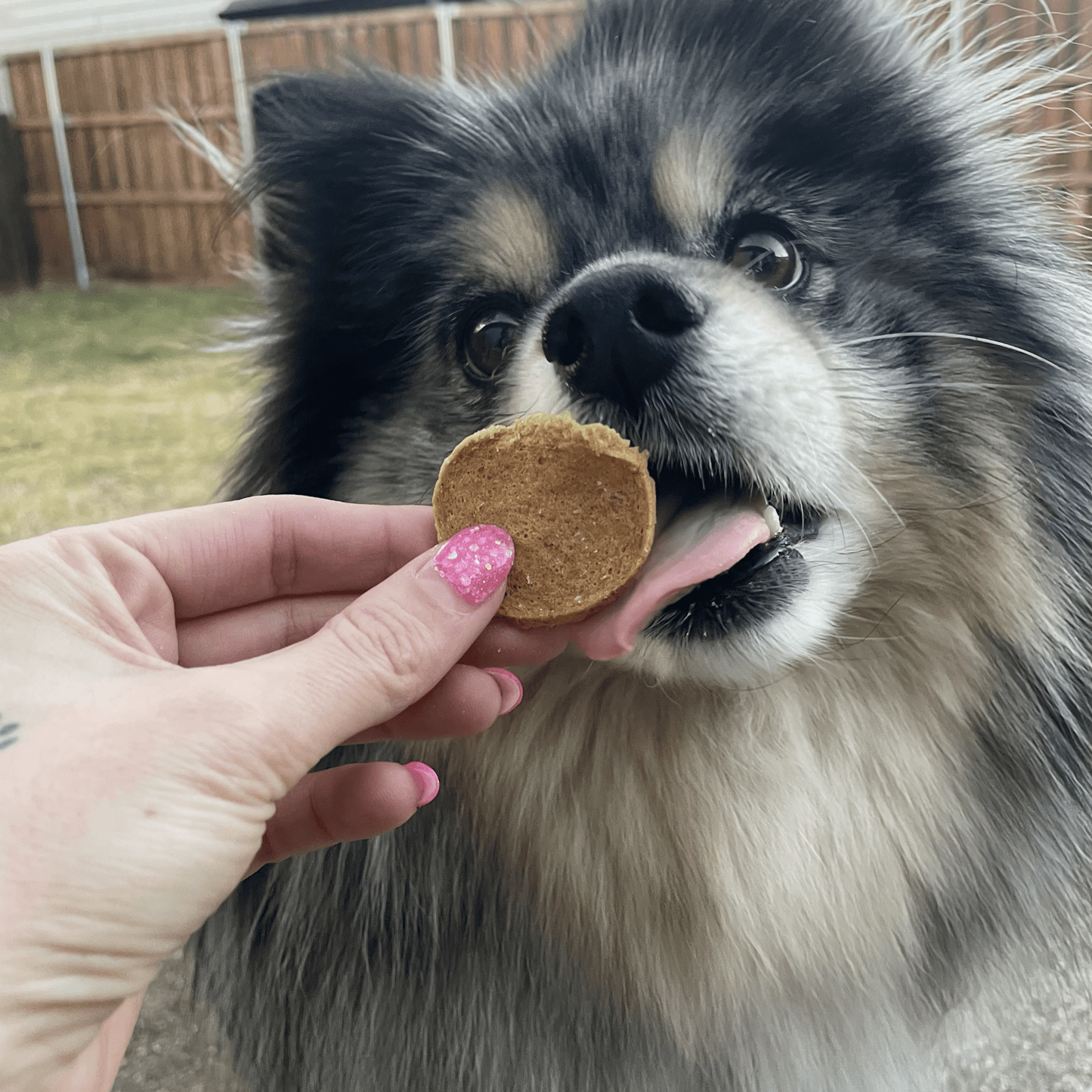 Farm To Pet - Fish Chips for Dogs | Wild-Caught Fish Dog Treats
