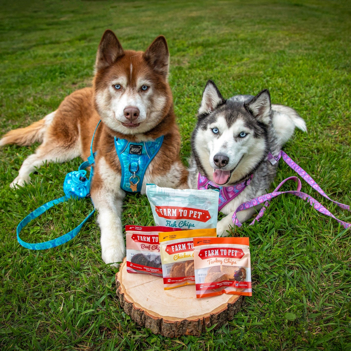 Farm To Pet - Puppy Packs 'n Snacks Dog Treat Starter Pack | Single-Ingredient Training Treats