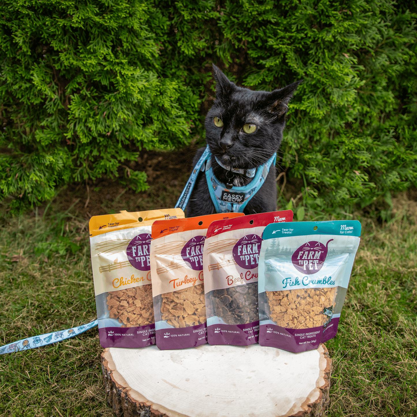 Farm To Pet - Beef Crumbles for Cats | 100% Protein Cat Treats