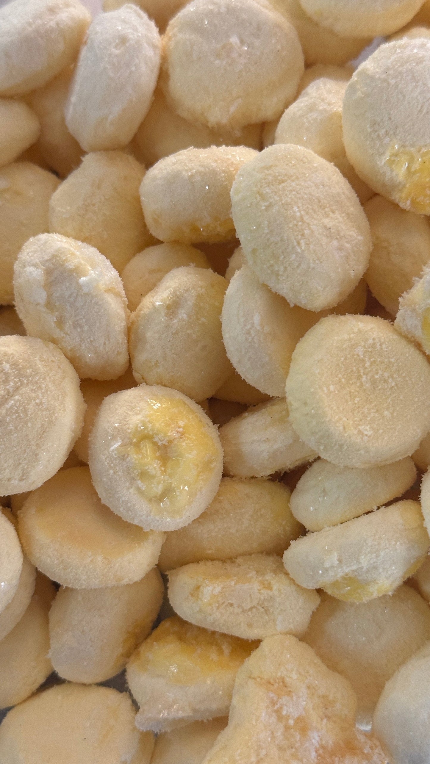 Bear's Bites Single Ingredient Freeze Dried Quail Egg Yolks