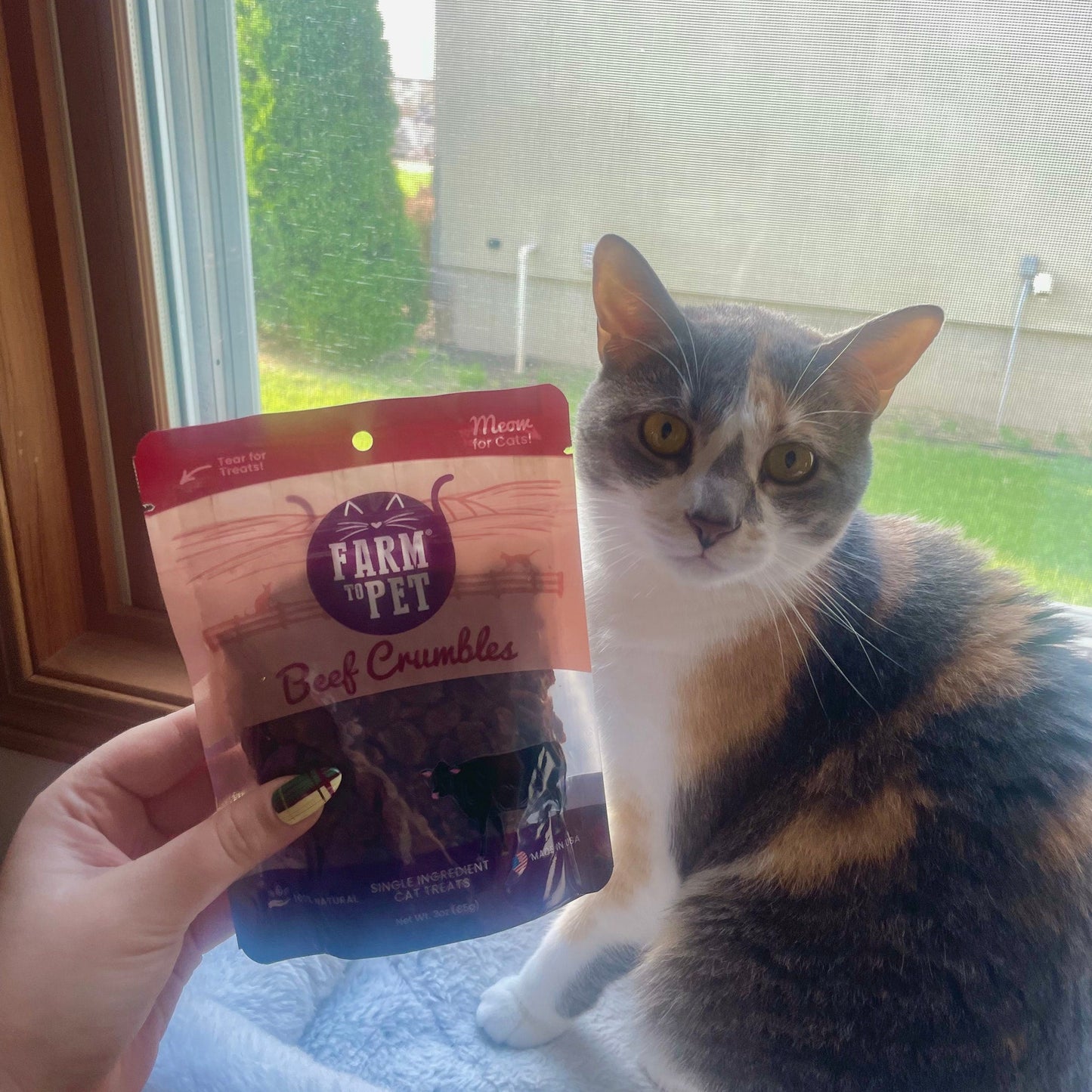 Farm To Pet - Beef Crumbles for Cats | 100% Protein Cat Treats