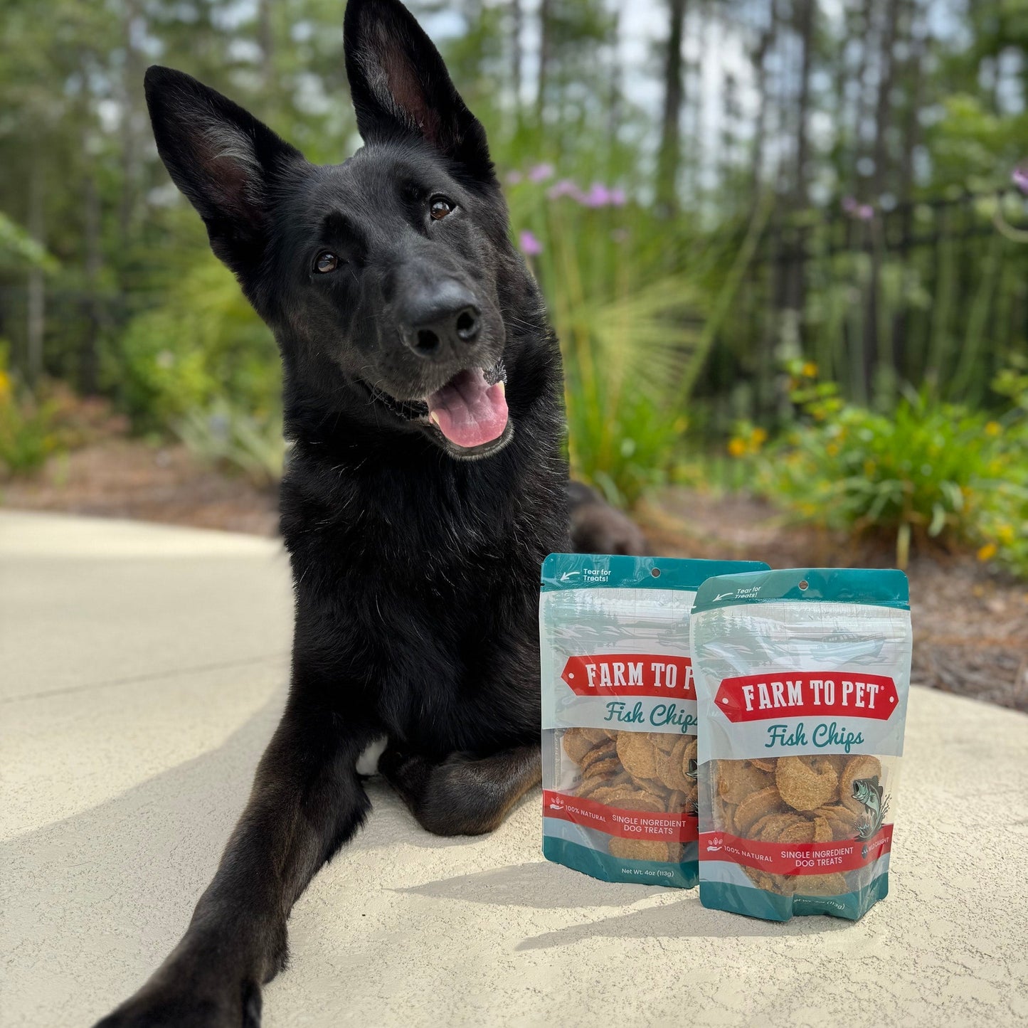 Farm To Pet - Fish Chips for Dogs | Wild-Caught Fish Dog Treats