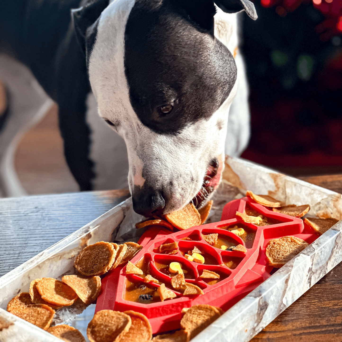 Farm To Pet - Fish Chips Snack Pack Bundles | Dog Treats for Training & Travel