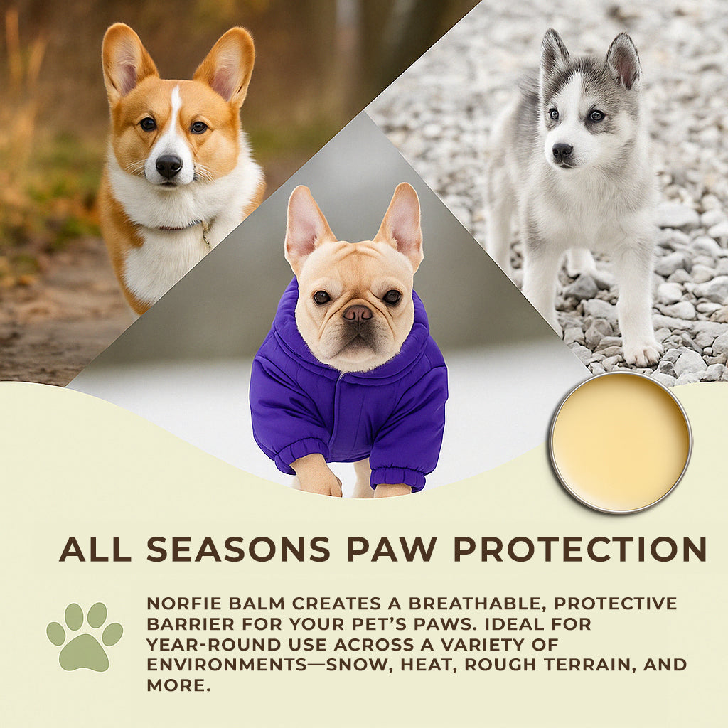 Norfie balm used on dog paws and noses during all seasons