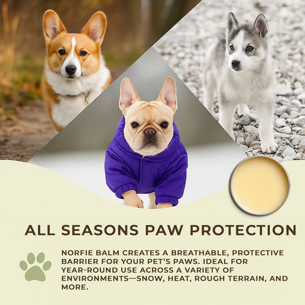Norfie balm used on dog paws and noses during all seasons