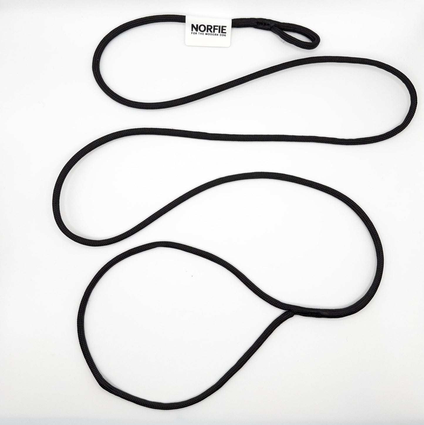 Norfie Champion Nylon Conformation Dog Show Leads Black