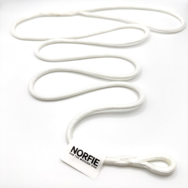 Norfie Champion Nylon Conformation Dog Show Leads White