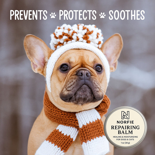 Pet-safe moisturizing balm by Norfie for dry and cracked skin